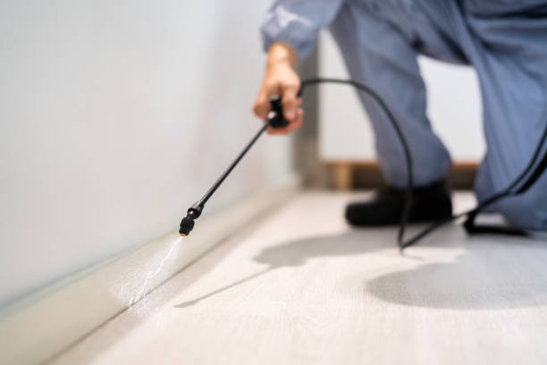 Professional exterminator conducting IPM assessment in Waynesboro
